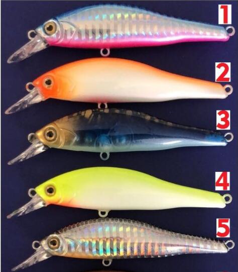 PLASTIC LURES