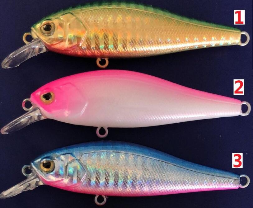 PLASTIC LURES